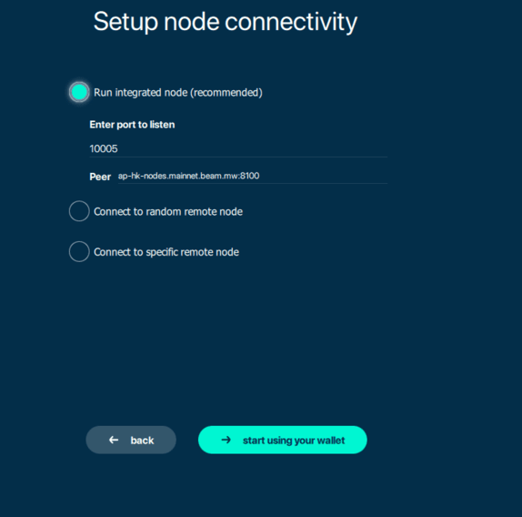 Beam GUI wallet port