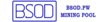 bsod pool логотип