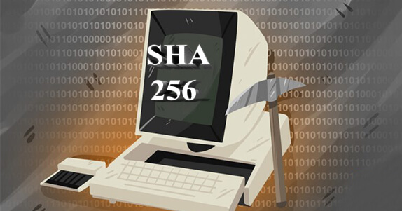 Как выглядит хеш sha512