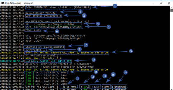 t-rex miner windows