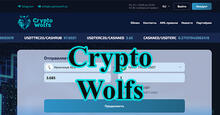 Криптовалютный обменник Cryptowolfs