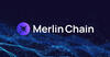 Merlin Chain обзор