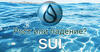 прогноз sui