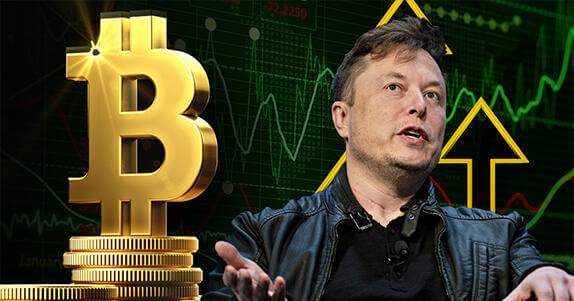 Elon Musk цена BTC