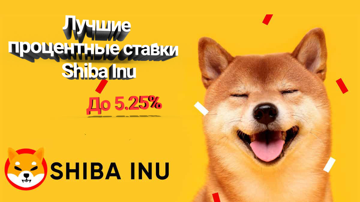 Лучшие процентные ставки Shiba Inu