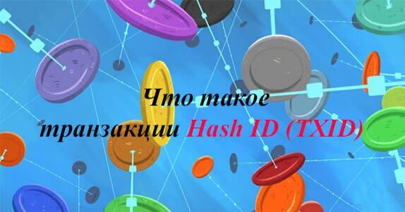 Что такое транзакции Hash ID (TXID)  