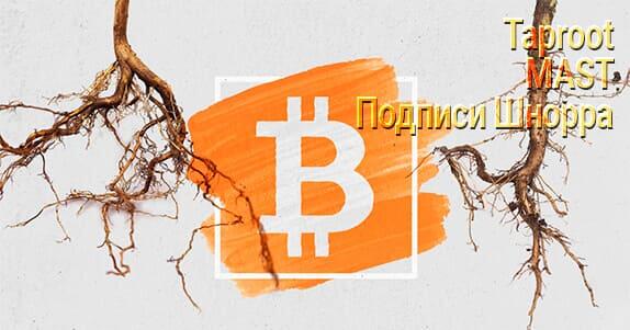 Taproot биткоин в чем смысл. taproot. Taproot биткоин в чем смысл фото. Taproot биткоин в чем смысл-taproot. картинка Taproot биткоин в чем смысл. картинка taproot