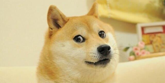 dogecoin