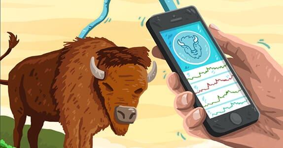 Немецкая биржа Boerse Stuttgart запускает мобильное приложение Crypto Trading