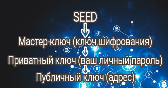 Что такое seed фраза. Смотреть фото Что такое seed фраза. Смотреть картинку Что такое seed фраза. Картинка про Что такое seed фраза. Фото Что такое seed фраза