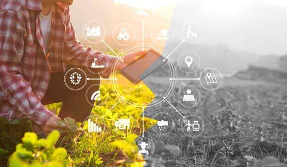 Что такое yield farming. Смотреть фото Что такое yield farming. Смотреть картинку Что такое yield farming. Картинка про Что такое yield farming. Фото Что такое yield farming