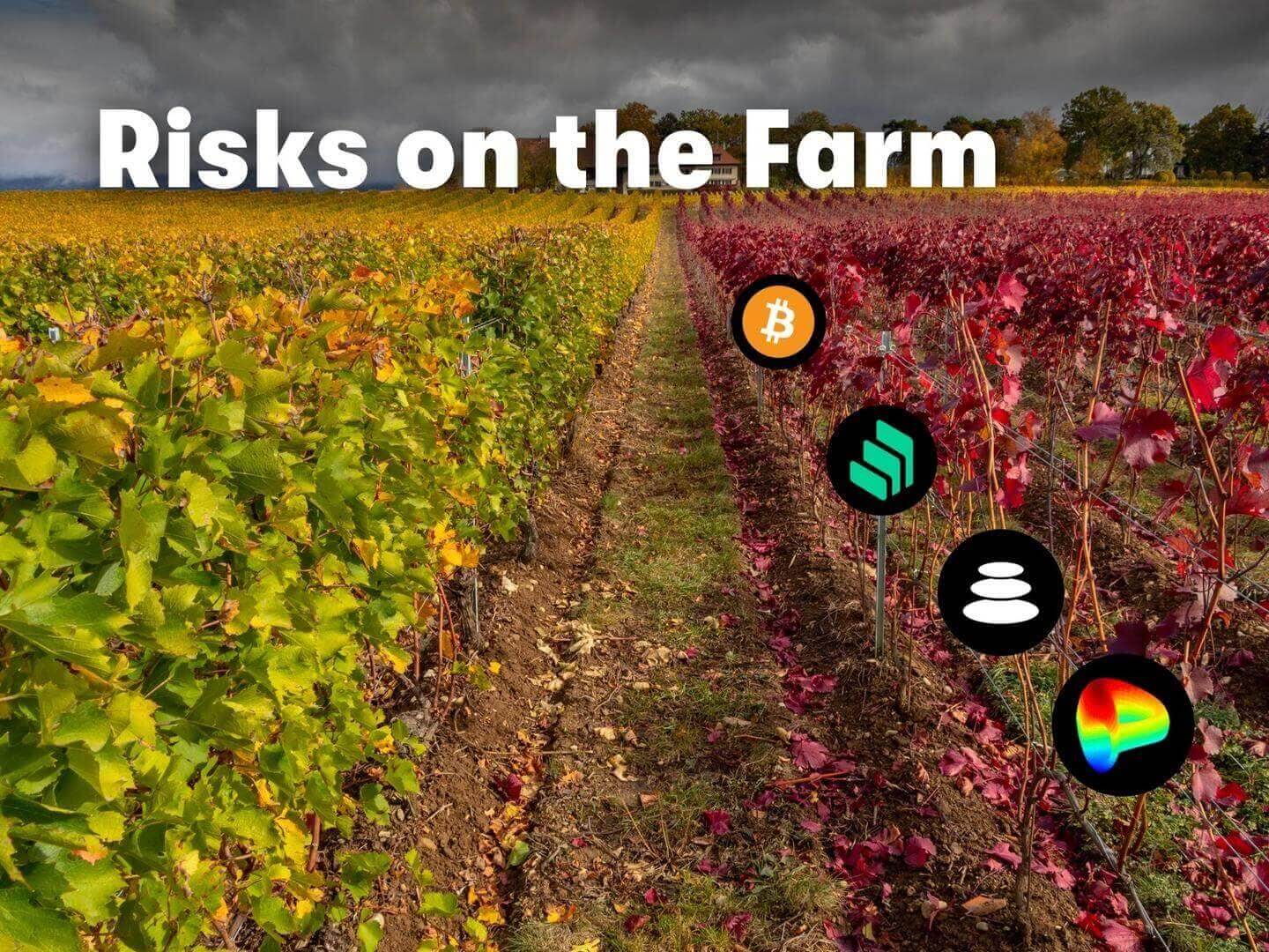 Что такое yield farming. Смотреть фото Что такое yield farming. Смотреть картинку Что такое yield farming. Картинка про Что такое yield farming. Фото Что такое yield farming